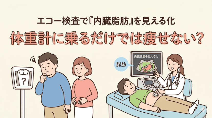 肝臓エコー検査で『内臓脂肪』を可視化