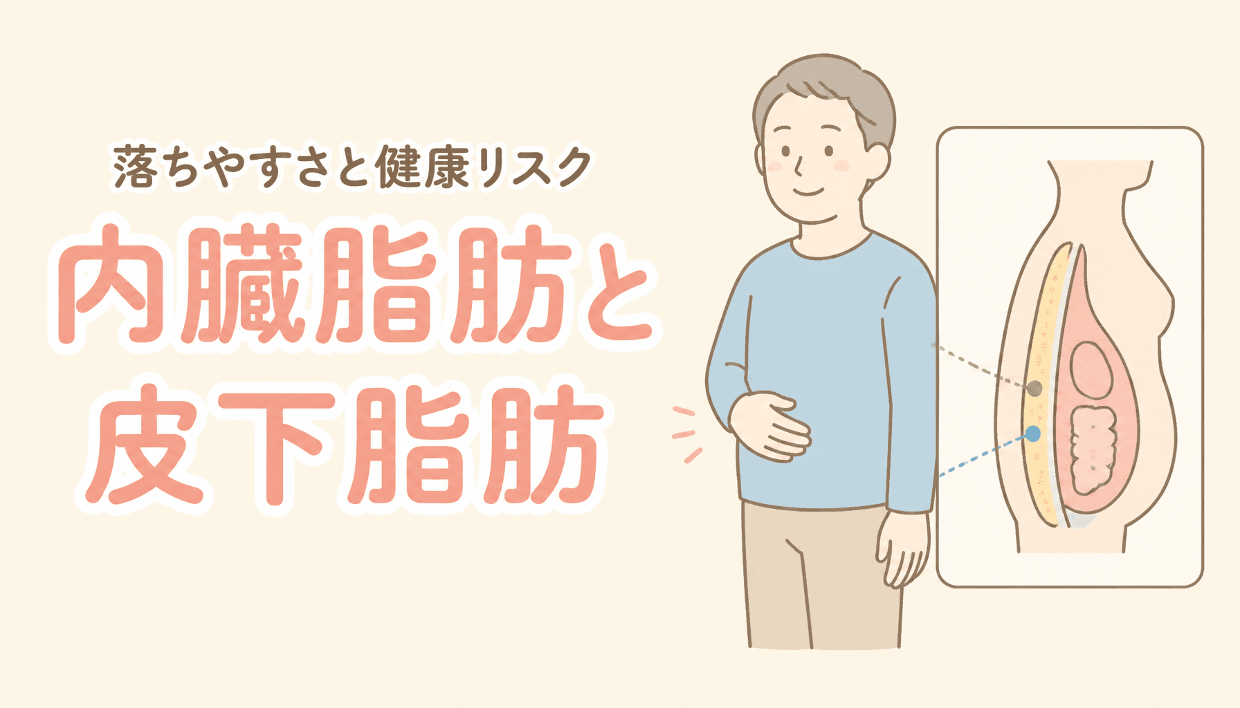 内臓脂肪と皮下脂肪は何が違う?落ちやすさと健康リスク